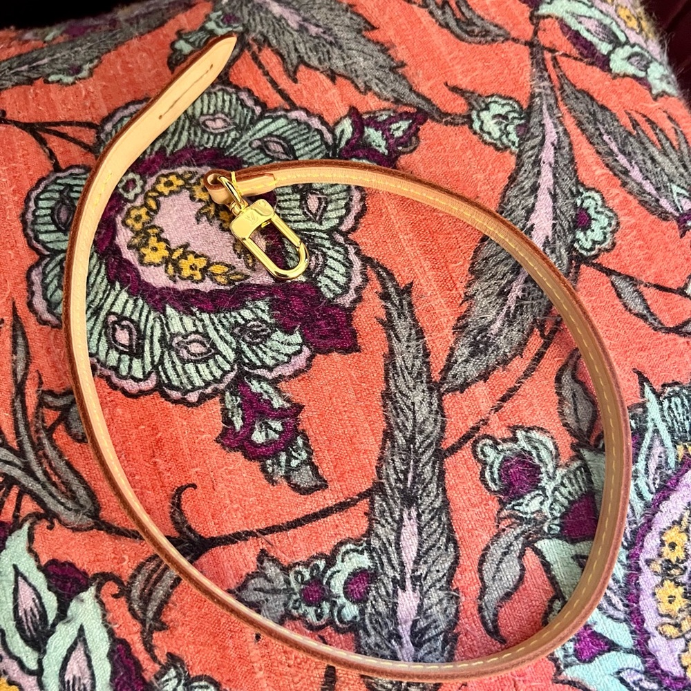 Louis Vuitton Pochette Accessoires Strap